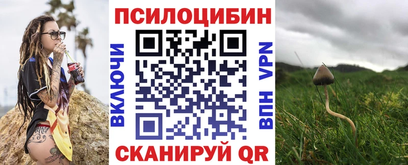 Галлюциногенные грибы GOLDEN TEACHER  блэк спрут ссылка  Кувшиново 